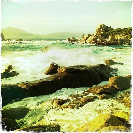 Villa De Charme Centre Corse Vivario (Corsica)